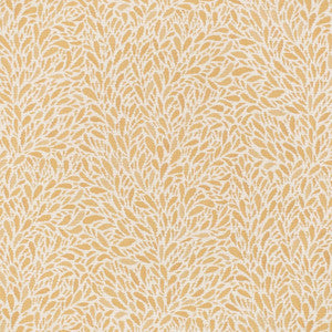 CB800-452 by Charlotte Fabric