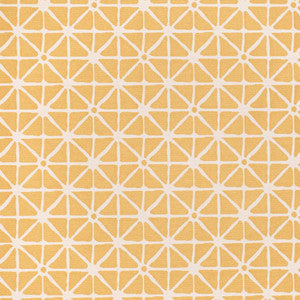CB800-453 by Charlotte Fabric
