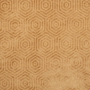 CB800-456 by Charlotte Fabric