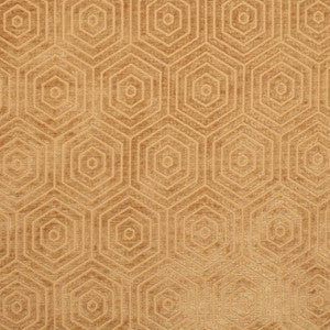 CB800-456 by Charlotte Fabric