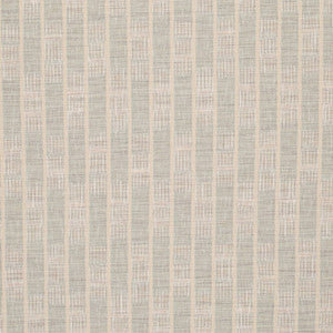 CB800-465 by Charlotte Fabric