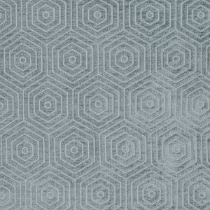 CB800-471 by Charlotte Fabric