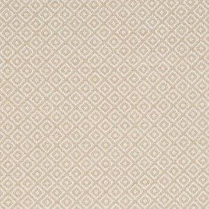 CB800-483 by Charlotte Fabric