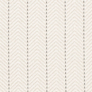 CB800-486 by Charlotte Fabric