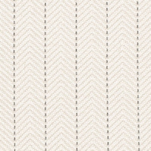 CB800-486 by Charlotte Fabric
