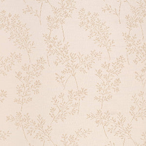 CB800-488 by Charlotte Fabric