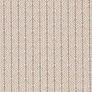 CB800-498 by Charlotte Fabric
