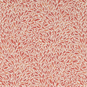 CB800-504 by Charlotte Fabric