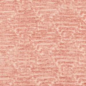 CB800-519 by Charlotte Fabric