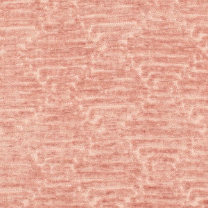 CB800-519 by Charlotte Fabric
