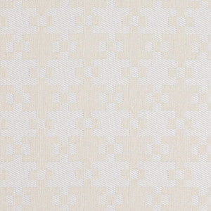 CB800-523 by Charlotte Fabric