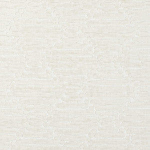 CB800-527 by Charlotte Fabric