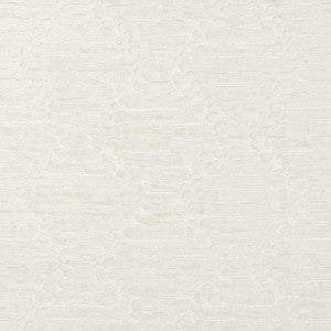 CB800-527 by Charlotte Fabric