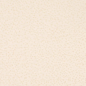 CB800-529 by Charlotte Fabric