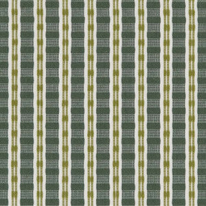 CB900-102 by Charlotte Fabric