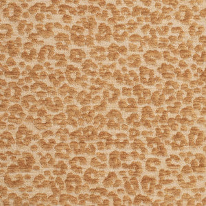 CB900-145 by Charlotte Fabric