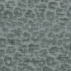 CB900-165 by Charlotte Fabric