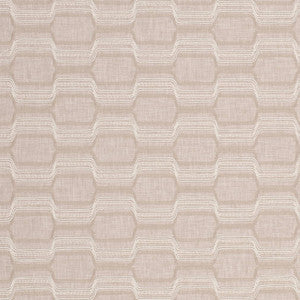 CB900-172 by Charlotte Fabric