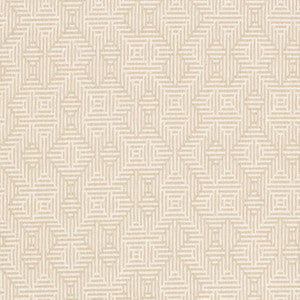 CB900-177 by Charlotte Fabric