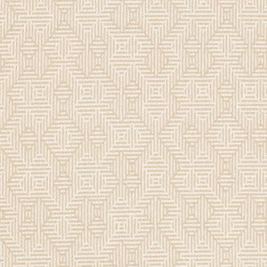 CB900-177 by Charlotte Fabric