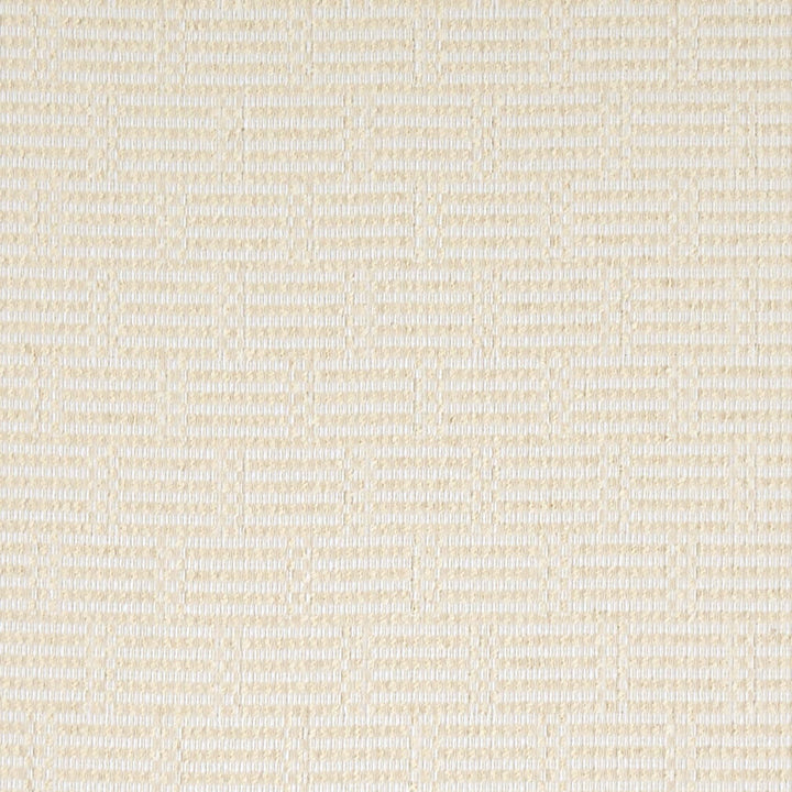 CB900-200 by Charlotte Designer Fabric Shades of Pearl 59% Polyester, 29% Recycled Cotton, 12% Recycled Polyester USA Exceeds 200,000 Wyzenbeek Rubs (Heavy Duty) Horizontal 2" x Vertical 2.5" 54 Inches - Swanky Fabrics -