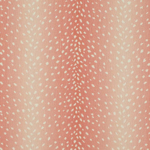 CB900-203 by Charlotte Fabric