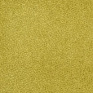 CB900-22 by Charlotte Fabric