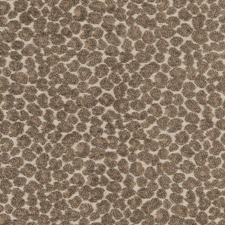 CB900-34 by Charlotte Designer Fabric Shades of Neutral 78% Polyester, 22% Cotton China Exceeds 120,000 Wyzenbeek Rubs (Heavy Duty) No Repeat 54 Inches - Swanky Fabrics -