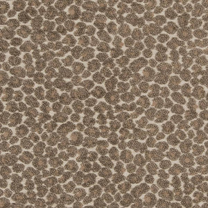 CB900-34 by Charlotte Fabric