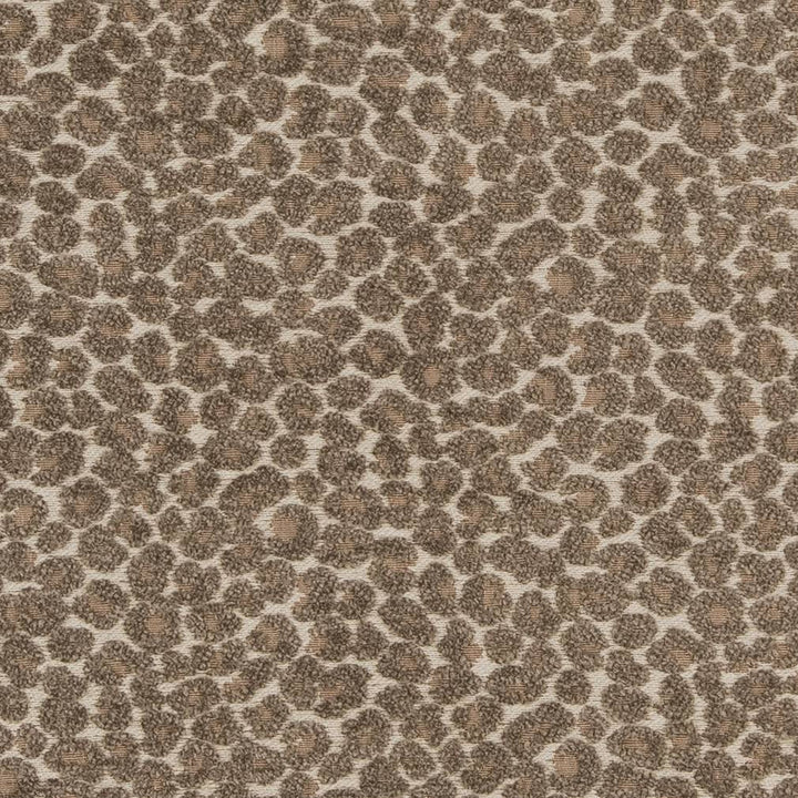 CB900-34 by Charlotte Fabric Shades of Neutral 78% Polyester, 22% Cotton China Exceeds 120,000 Wyzenbeek Rubs (Heavy Duty) No Repeat 54 Inches - Fabric Carolina -