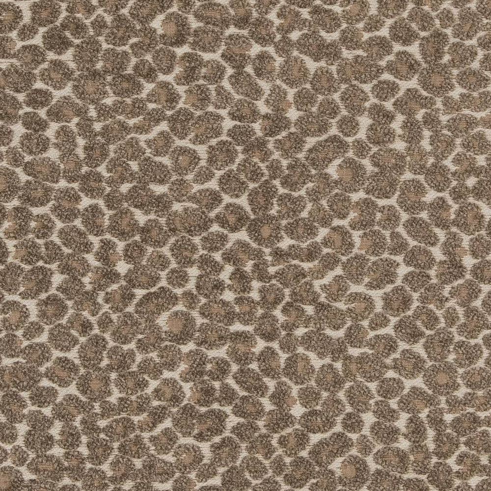 CB900-34 by Charlotte Fabric Shades of Neutral 78% Polyester, 22% Cotton Asia Exceeds 120,000 Wyzenbeek Rubs (Heavy Duty) </p><p>Repeat: No Repeat 54 Inches - Fabric Carolina -