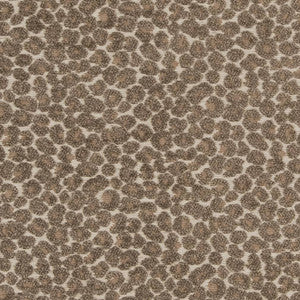 CB900-34 by Charlotte Fabric