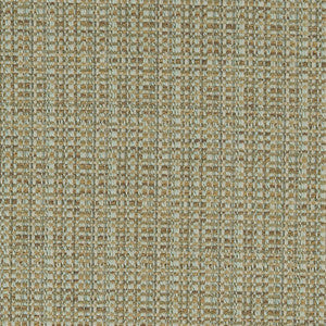 CB900-42 by Charlotte Fabric
