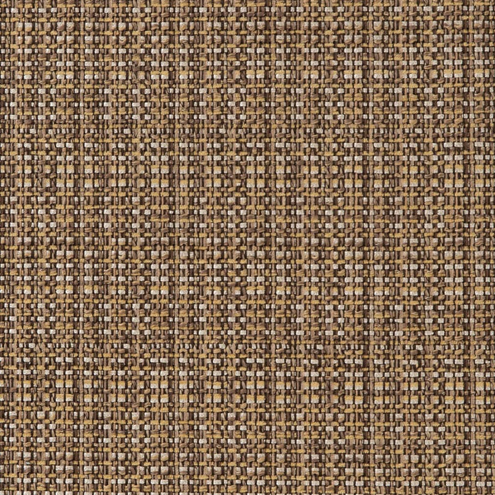 CB900-55 by Charlotte Fabric Shades of Cocoa 49% Polyester, 23% Acrylic, 24% Cotton, 4% Rayon Asia Exceeds 100,000 Wyzenbeek Rubs (Heavy Duty) </p><p>Repeat: Horizontal 2.5" x Vertical 4.25" 54 Inches - Fabric Carolina -