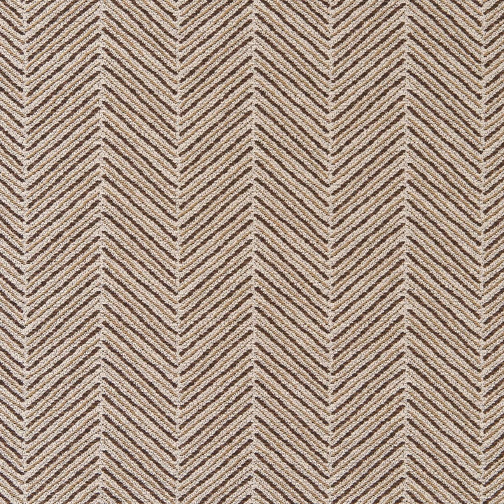 CB900-61 by Charlotte Fabric Shades of Cocoa 78% Polyester, 22% Cotton Asia Exceeds 160,000 Wyzenbeek Rubs (Heavy Duty) </p><p>Repeat: Horizontal 5" x Vertical .5" 54 Inches - Fabric Carolina -