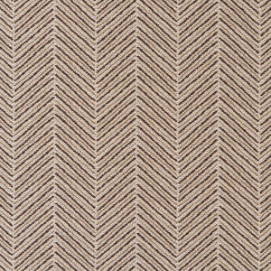 CB900-61 by Charlotte Fabric