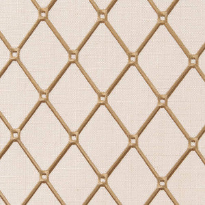 CB900-62 by Charlotte Fabric