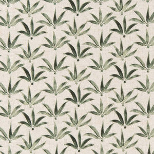 CB900-94 by Charlotte Fabric