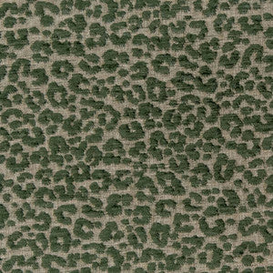CB900-99 by Charlotte Fabric