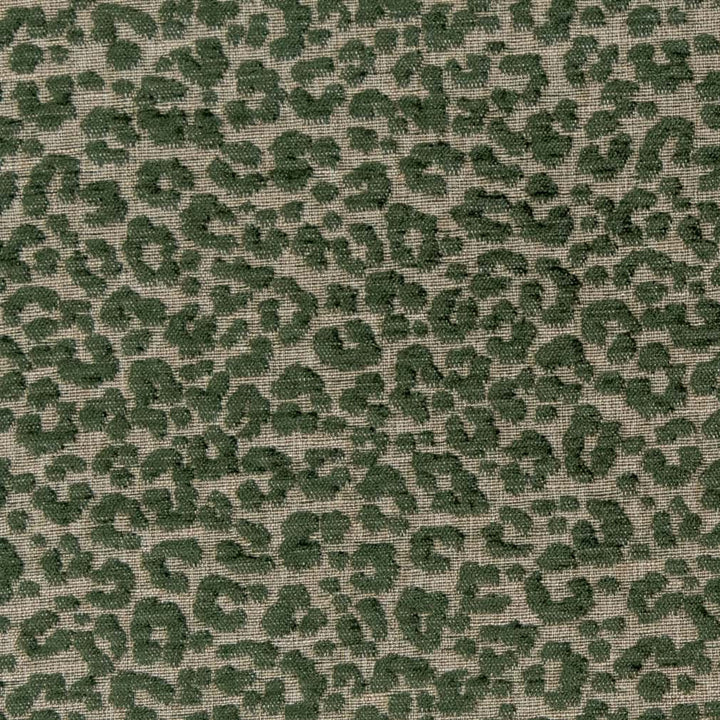 CB900-99 by Charlotte Fabric Shades of Emerald 41% Acrylic, 22% Polyester, 15% Polypropylene, 15% Viscose, 7% Linen Made In USA Exceeds 200,000 Wyzenbeek Rubs </p><p>Repeat: No Repeat 54 Inches - Fabric Carolina -