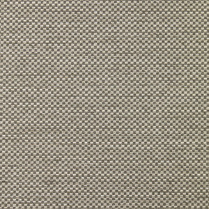 Checkerboard # 056 Bonbon by Maxwell Fabric
