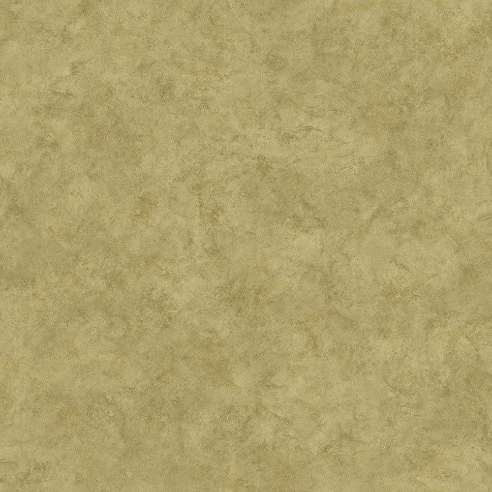 Safe Harbor Moss Marble Wallpaper by Chesapeake The Cottage Covers about 56.4 square feet 20.5-in by 33-ft long roll Prepasted 20.5 - Fabric Carolina -