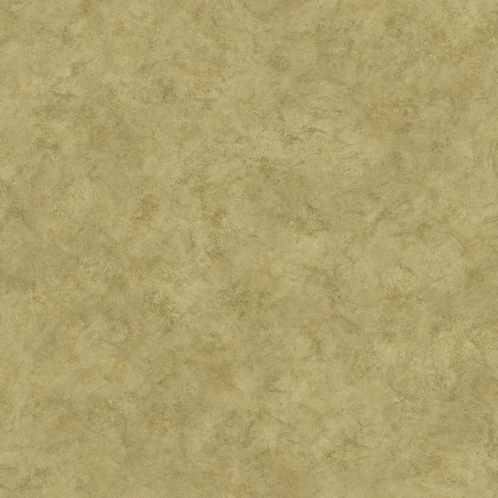Safe Harbor Moss Marble Wallpaper by Chesapeake The Cottage Covers about 56.4 square feet 20.5-in by 33-ft long roll Prepasted 20.5 - Fabric Carolina -