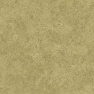 Safe Harbor Moss Marble Wallpaper by Chesapeake