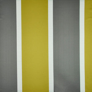 Chamberlain # 562 Baroque by Maxwell Fabric