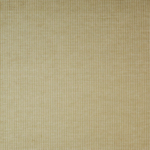 Cat Nap # 71 Biscuit by Maxwell Fabric