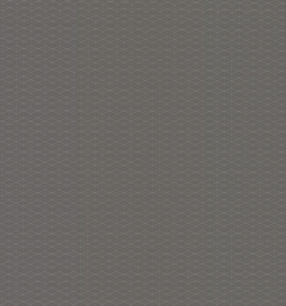 by York Wallcoverings Color Digest - Fabric Carolina -
