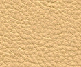 Classic(Contract Vinyl) # 102 Chamois by Maxwell Fabric Vinyls I - Contract 100% PVC BACKING-100% POLYESTER TAIWAN 54" - Fabric Carolina -