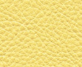 Classic(Contract Vinyl) # 103 Chamomile by Maxwell Designer Fabric Vinyls I - Contract 100% PVC BACKING-100% POLYESTER TAIWAN 54" - Swanky Fabrics -