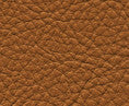 Classic(Contract Vinyl) # 112 Rodeo by Maxwell Fabric